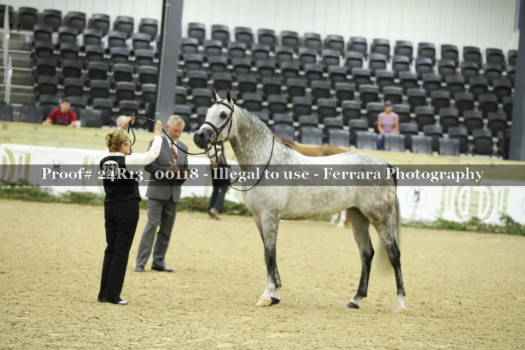 Proof 24R13_00118