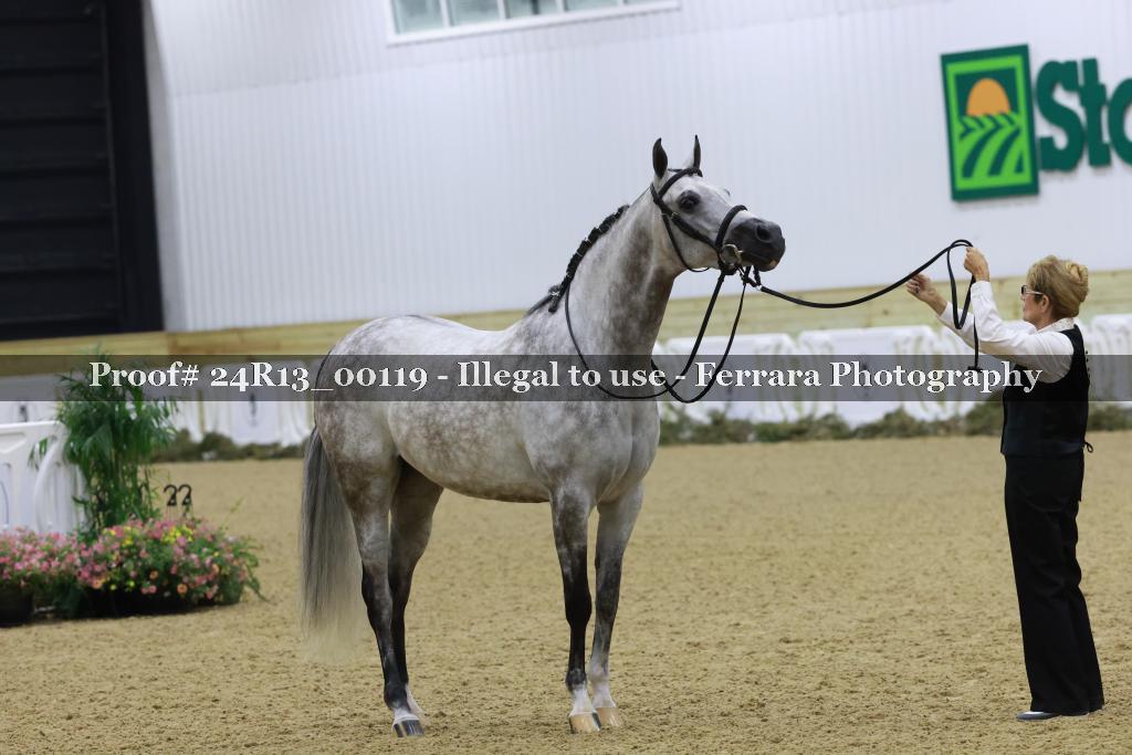 Proof 24R13_00119
