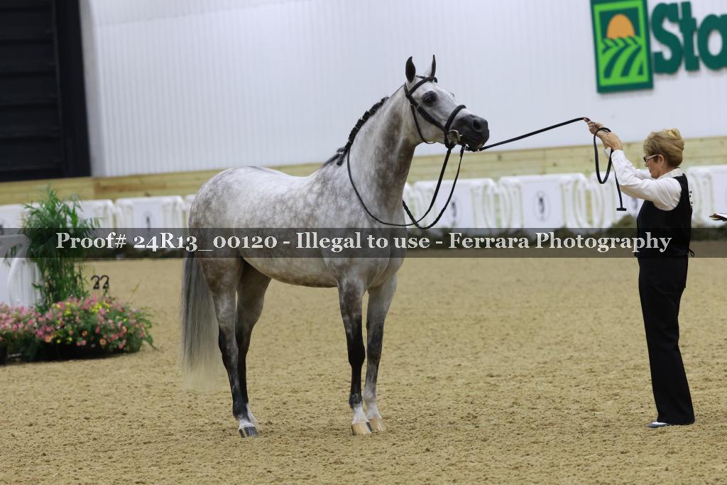 Proof 24R13_00120