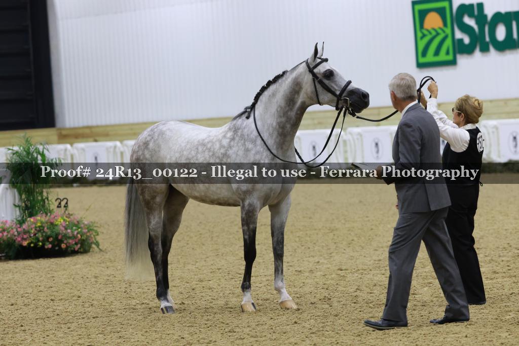 Proof 24R13_00122