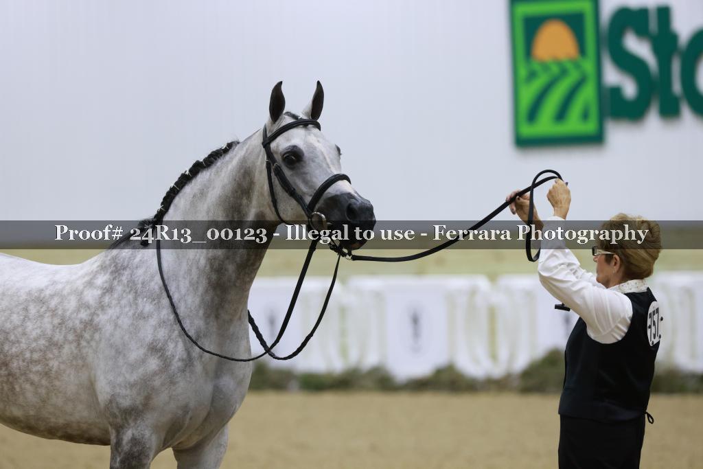 Proof 24R13_00123