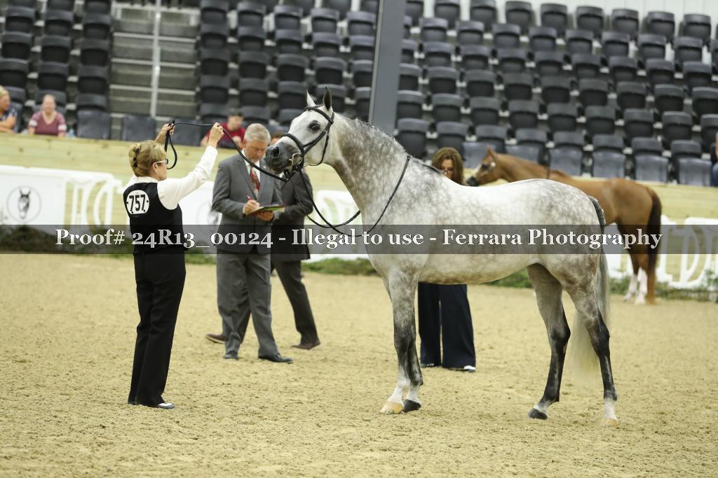 Proof 24R13_00124