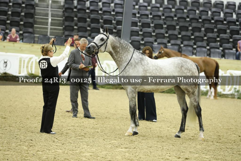 Proof 24R13_00125