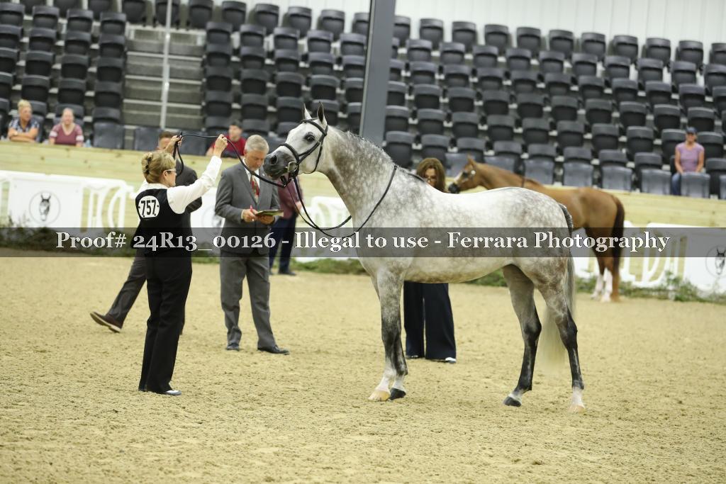 Proof 24R13_00126
