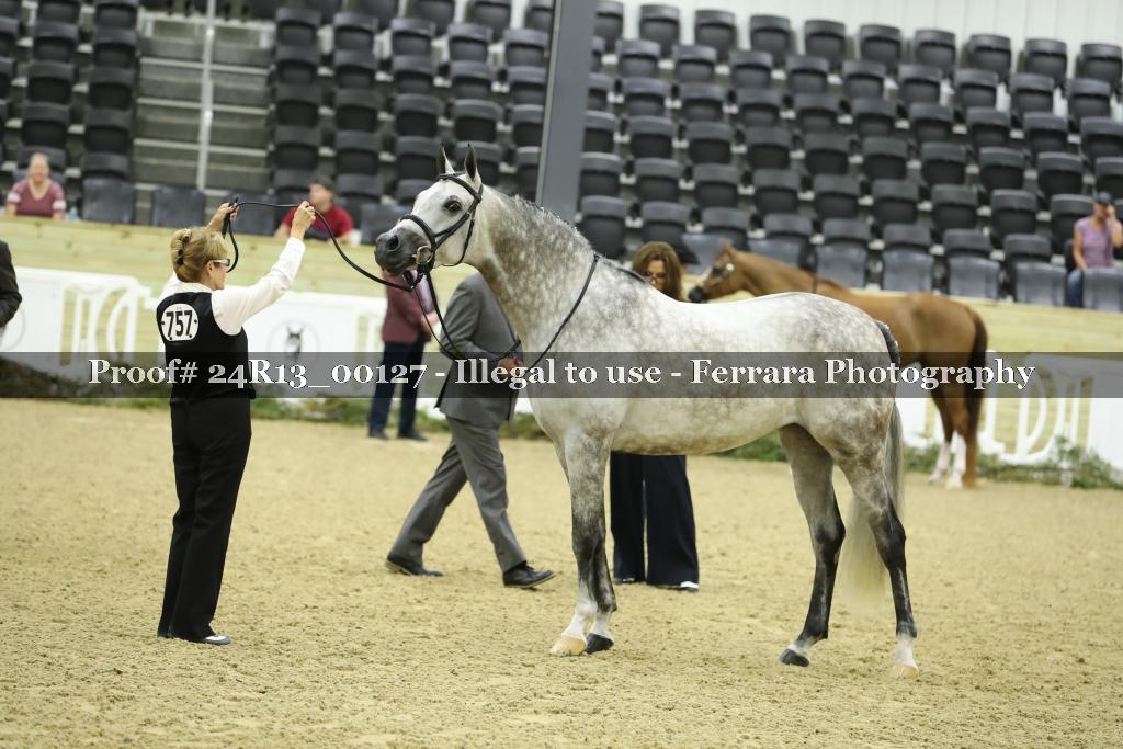 Proof 24R13_00127
