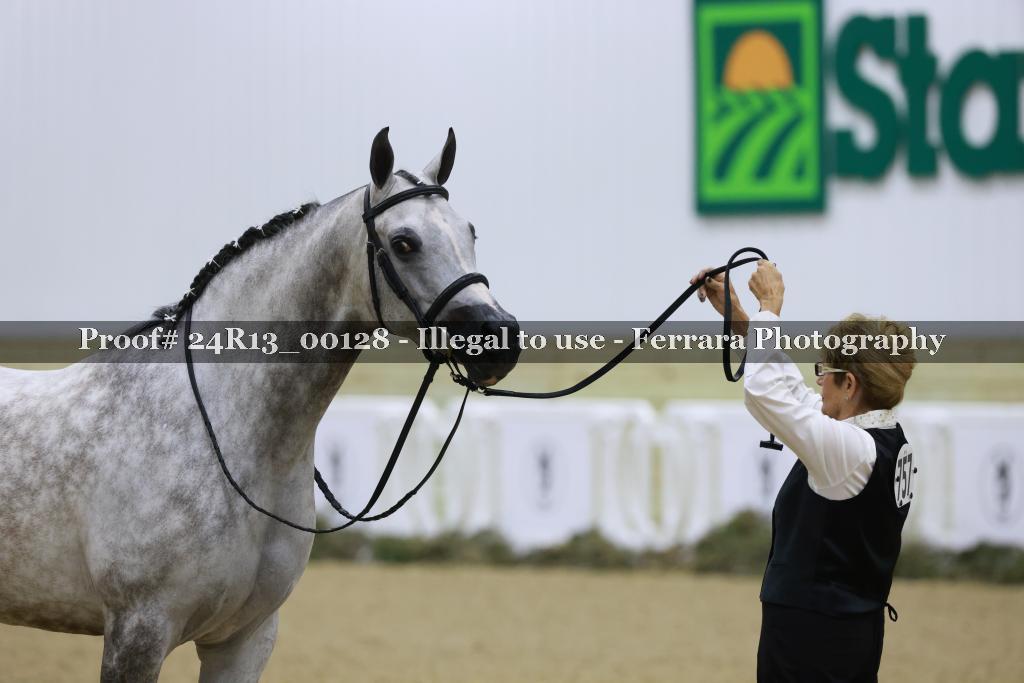 Proof 24R13_00128