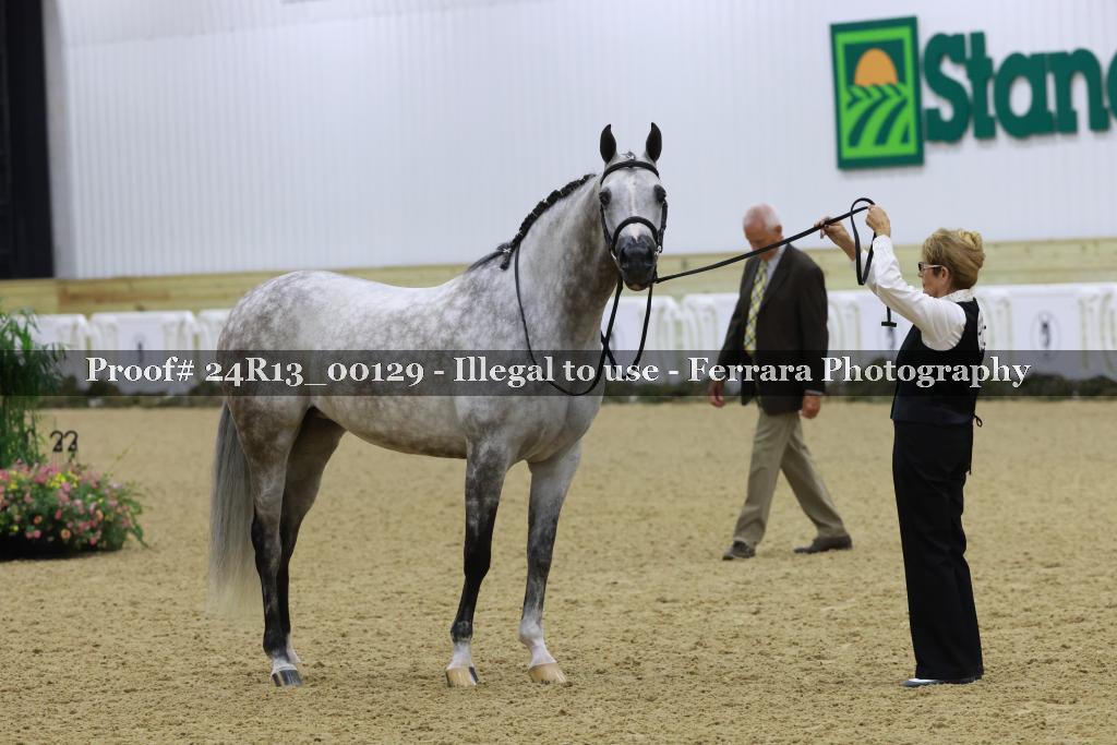 Proof 24R13_00129