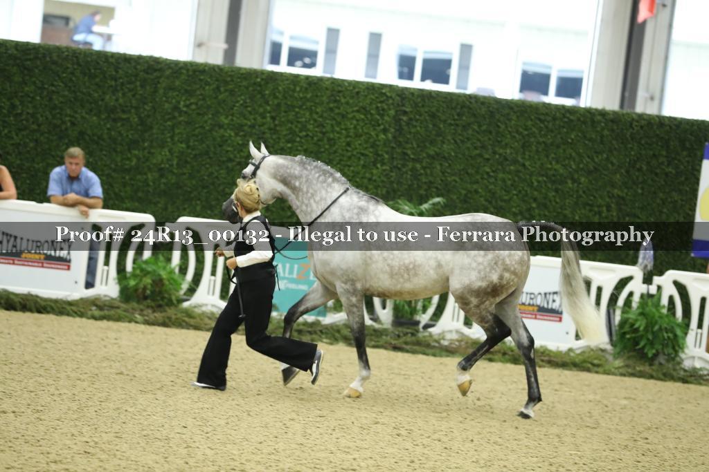 Proof 24R13_00132