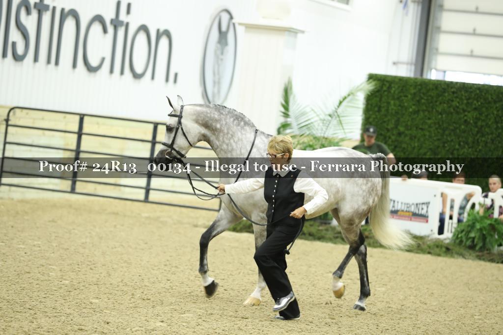 Proof 24R13_00134