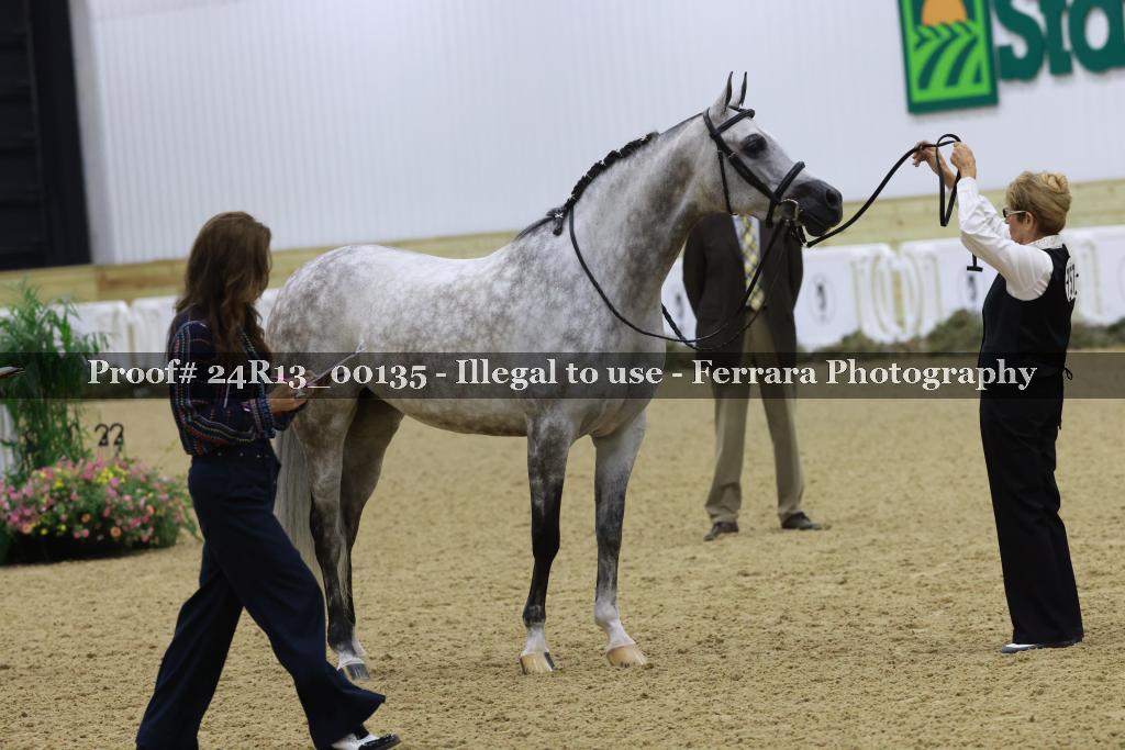 Proof 24R13_00135