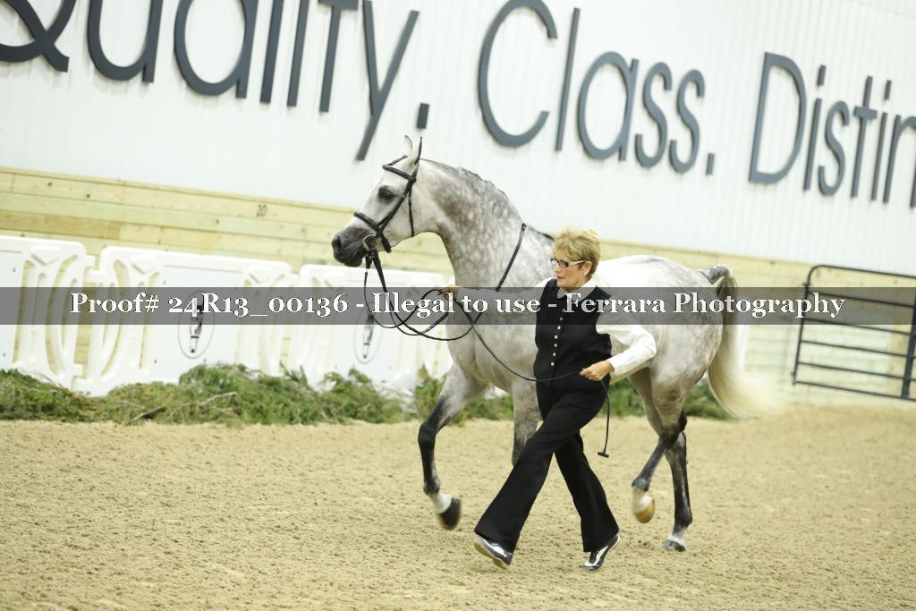 Proof 24R13_00136