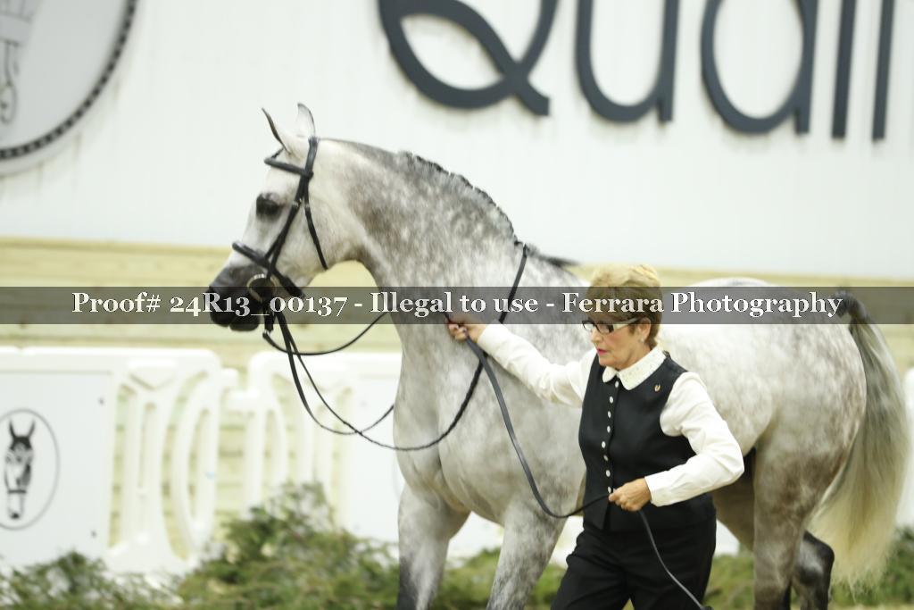 Proof 24R13_00137