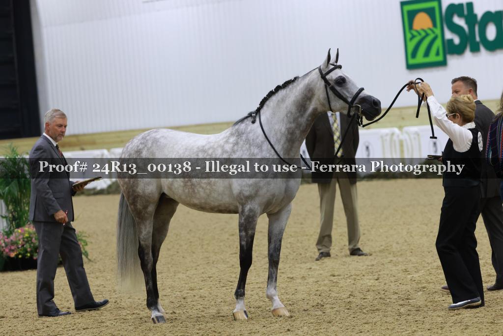 Proof 24R13_00138