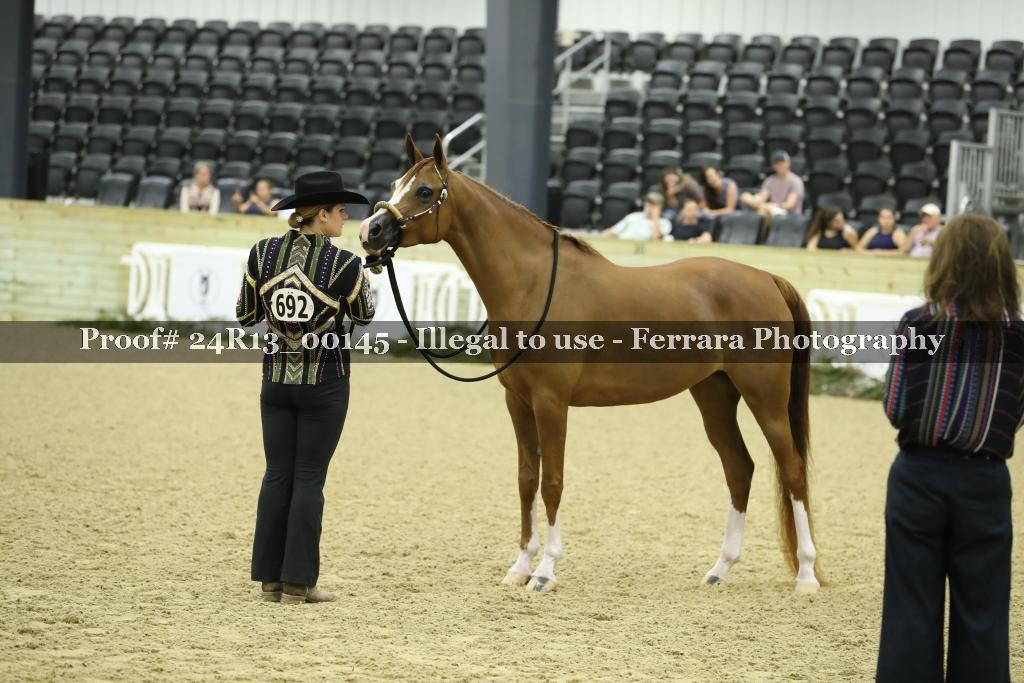 Proof 24R13_00145