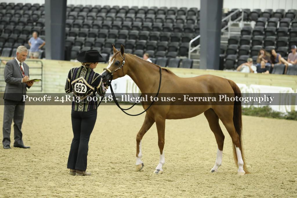 Proof 24R13_00148