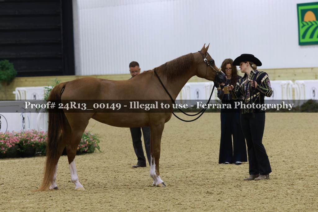 Proof 24R13_00149