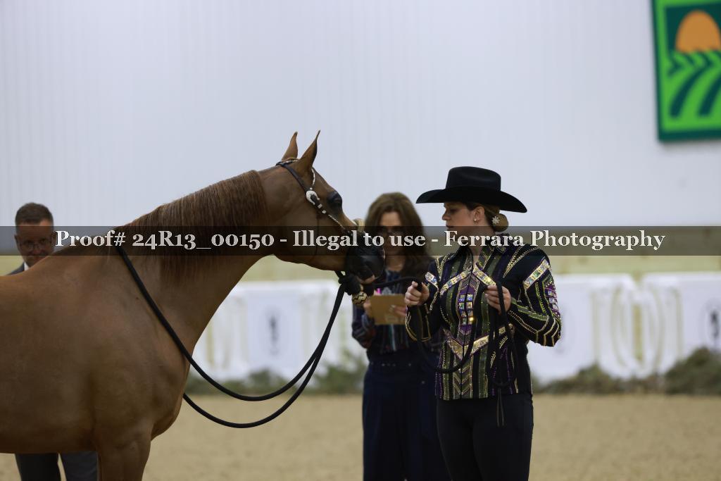 Proof 24R13_00150