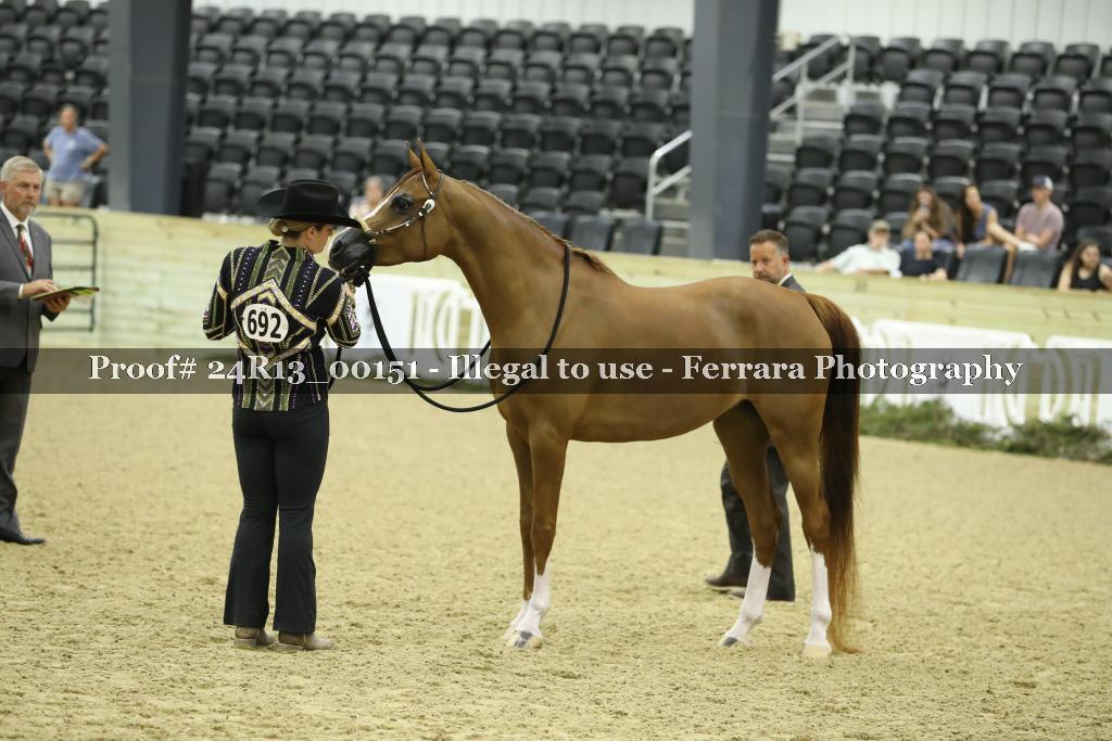 Proof 24R13_00151