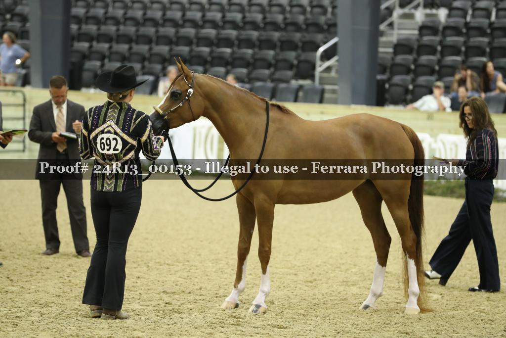 Proof 24R13_00153