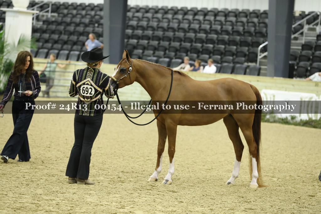 Proof 24R13_00154