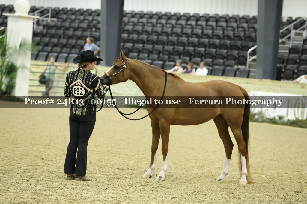 Proof 24R13_00155