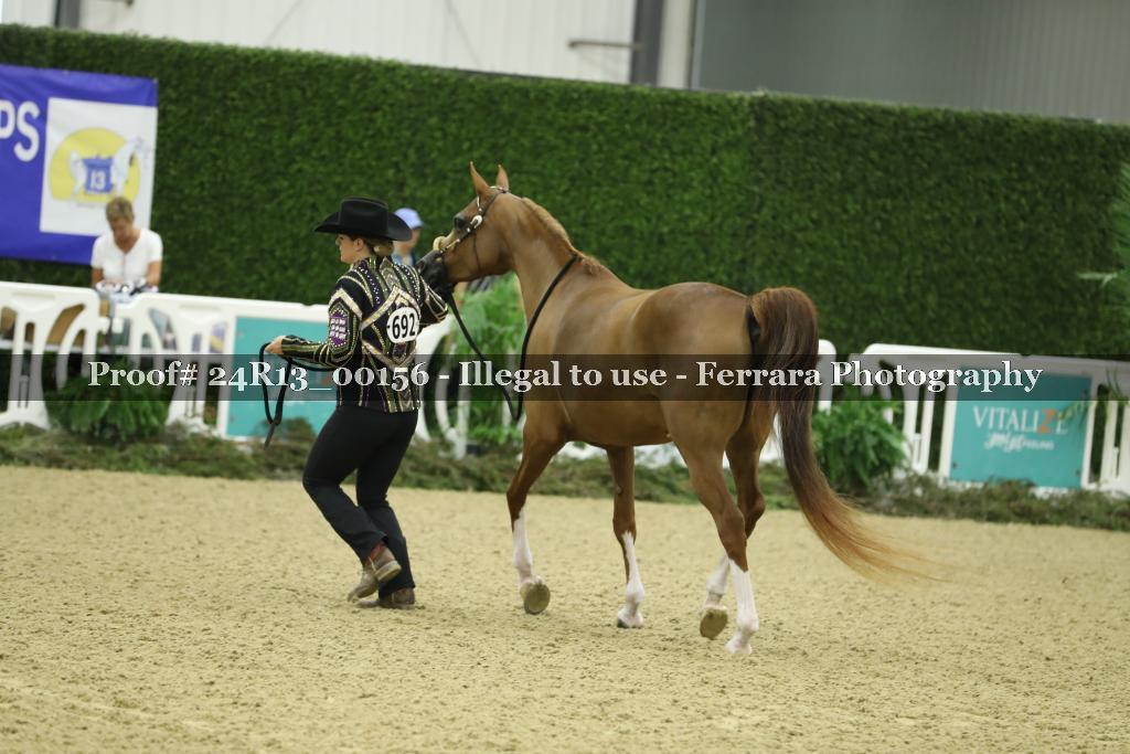 Proof 24R13_00156