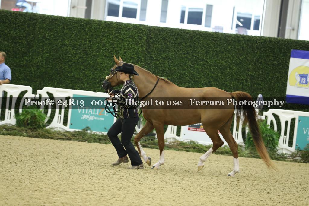 Proof 24R13_00157