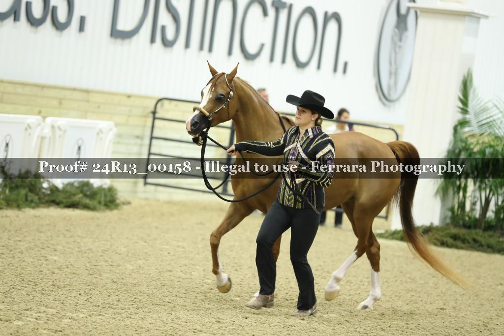 Proof 24R13_00158