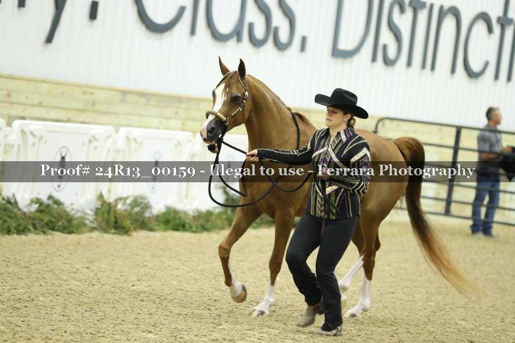 Proof 24R13_00159