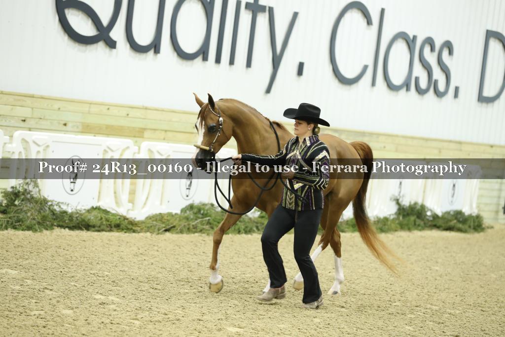 Proof 24R13_00160