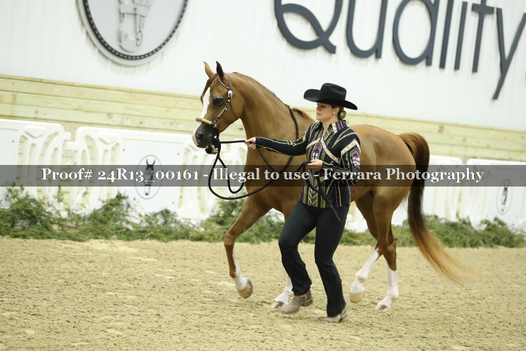 Proof 24R13_00161