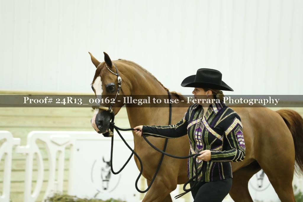 Proof 24R13_00162