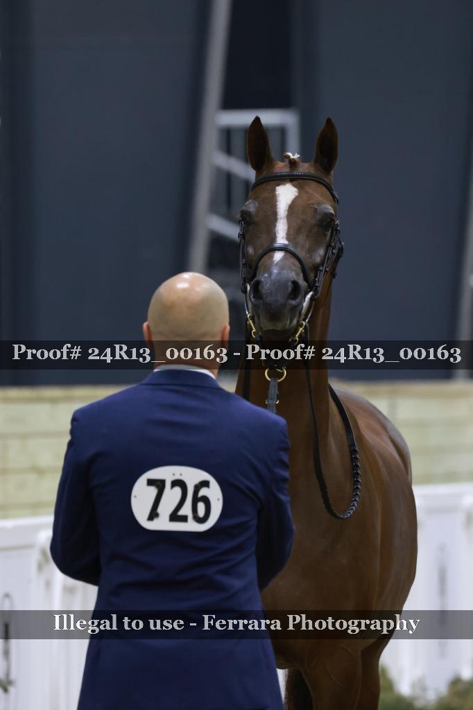 Proof 24R13_00163