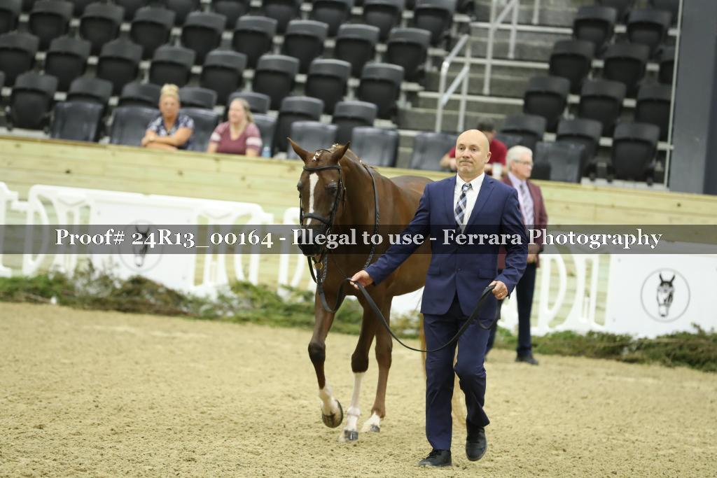 Proof 24R13_00164