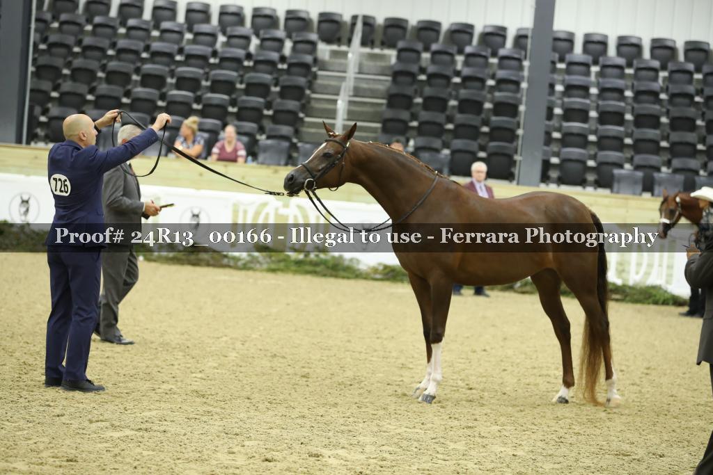 Proof 24R13_00166