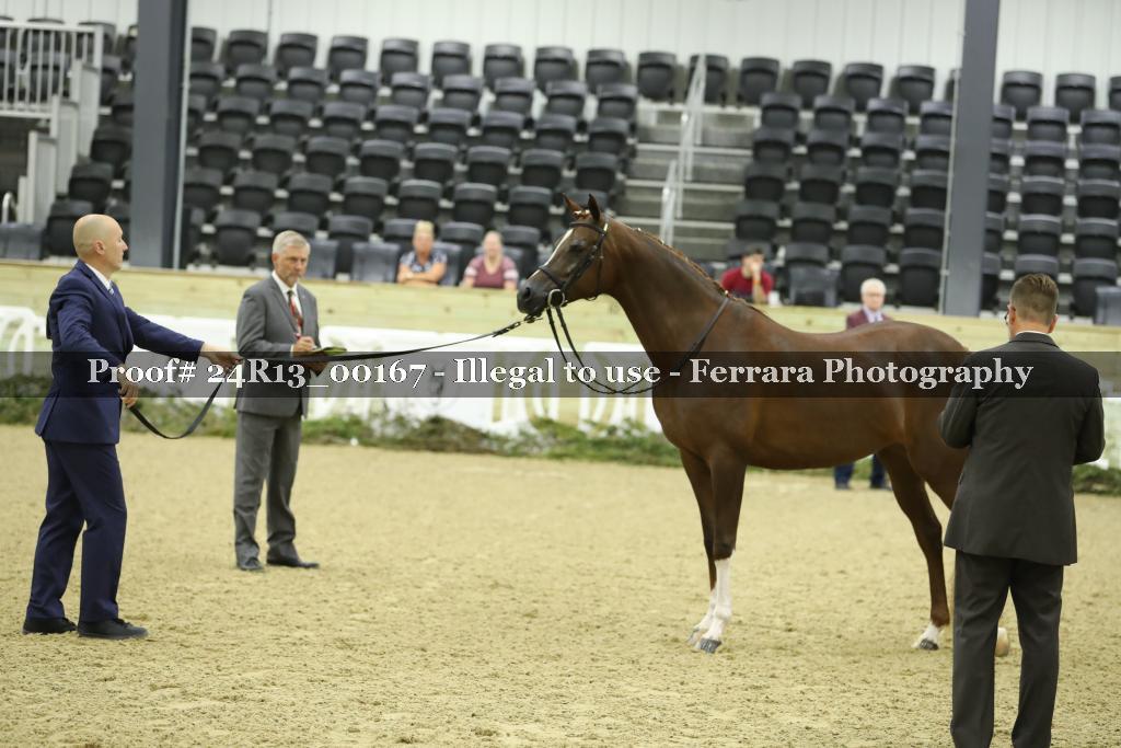 Proof 24R13_00167