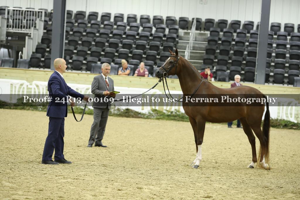 Proof 24R13_00169