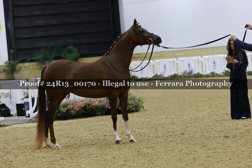 Proof 24R13_00170