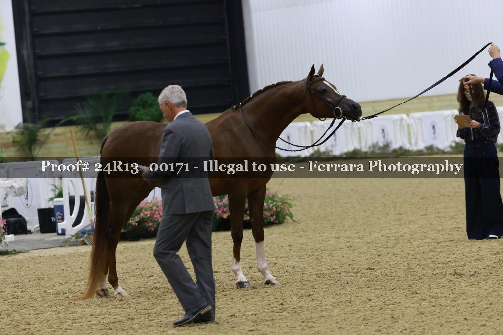 Proof 24R13_00171