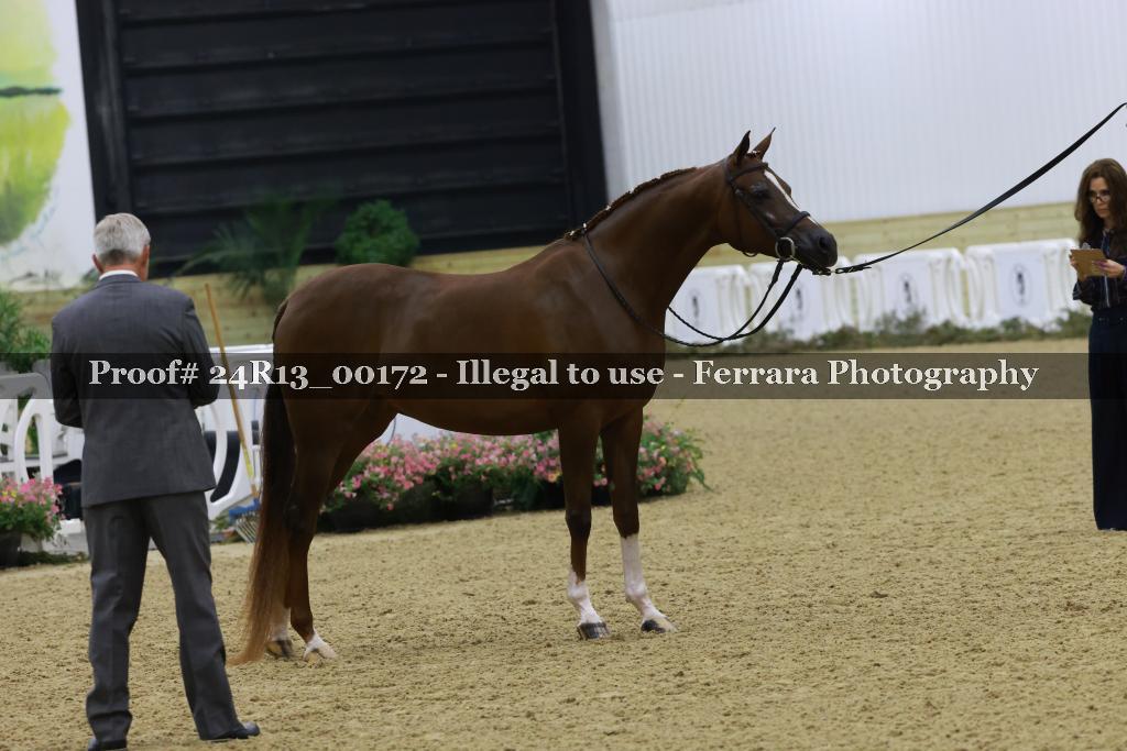 Proof 24R13_00172