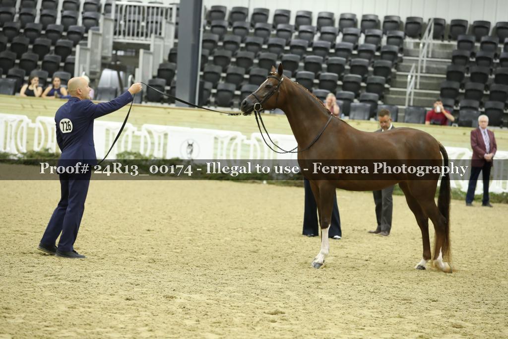 Proof 24R13_00174