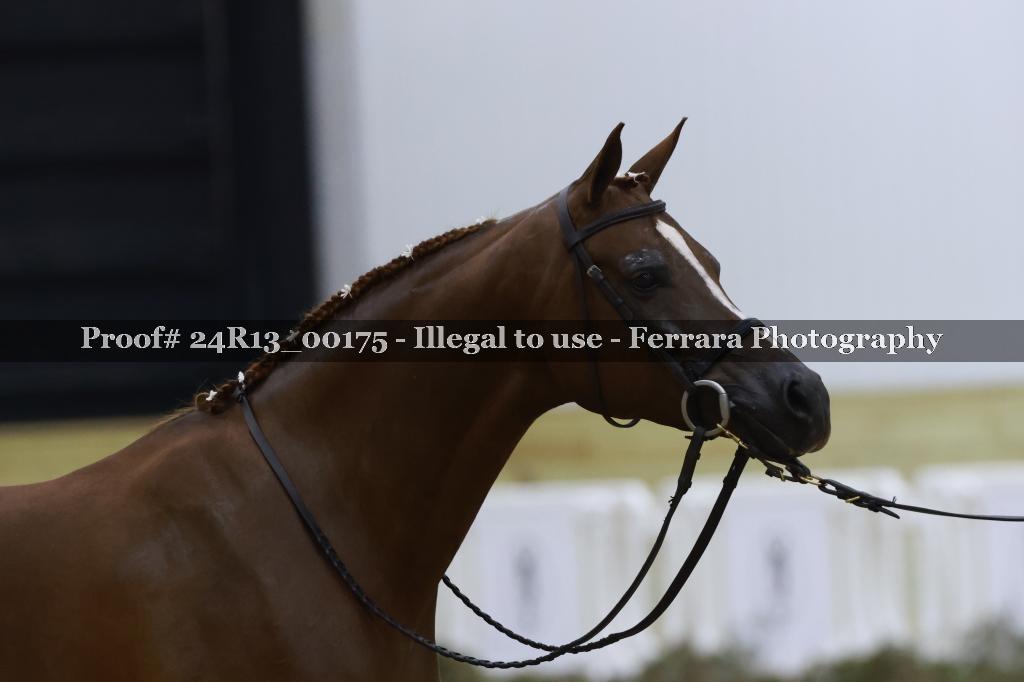 Proof 24R13_00175