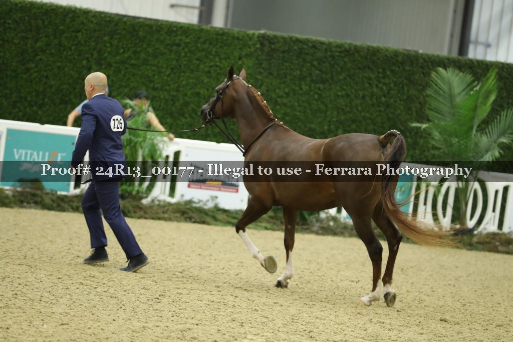 Proof 24R13_00177