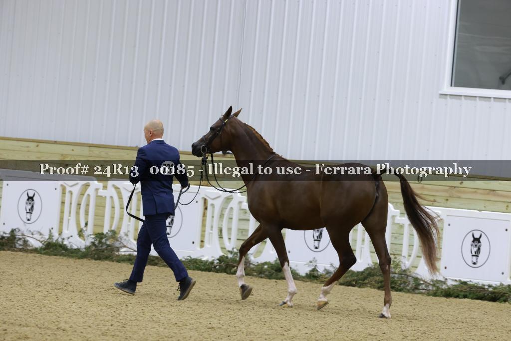 Proof 24R13_00185