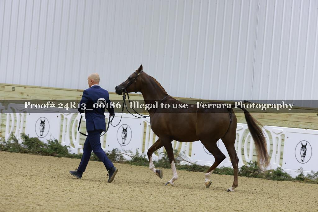 Proof 24R13_00186