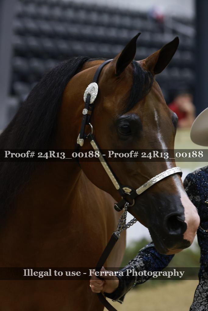 Proof 24R13_00188