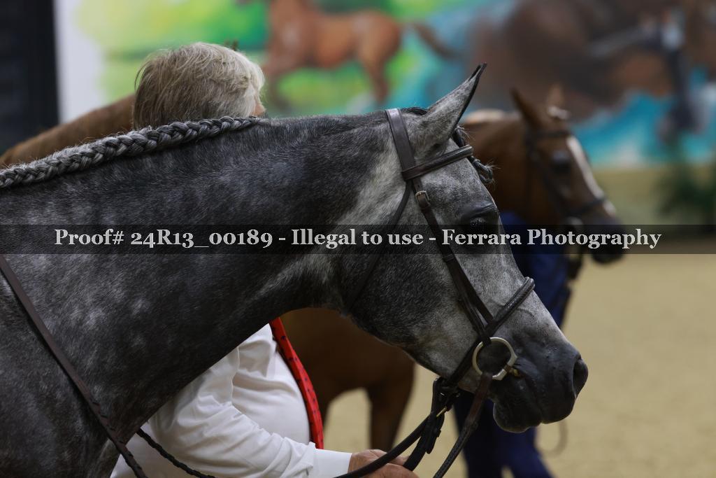 Proof 24R13_00189