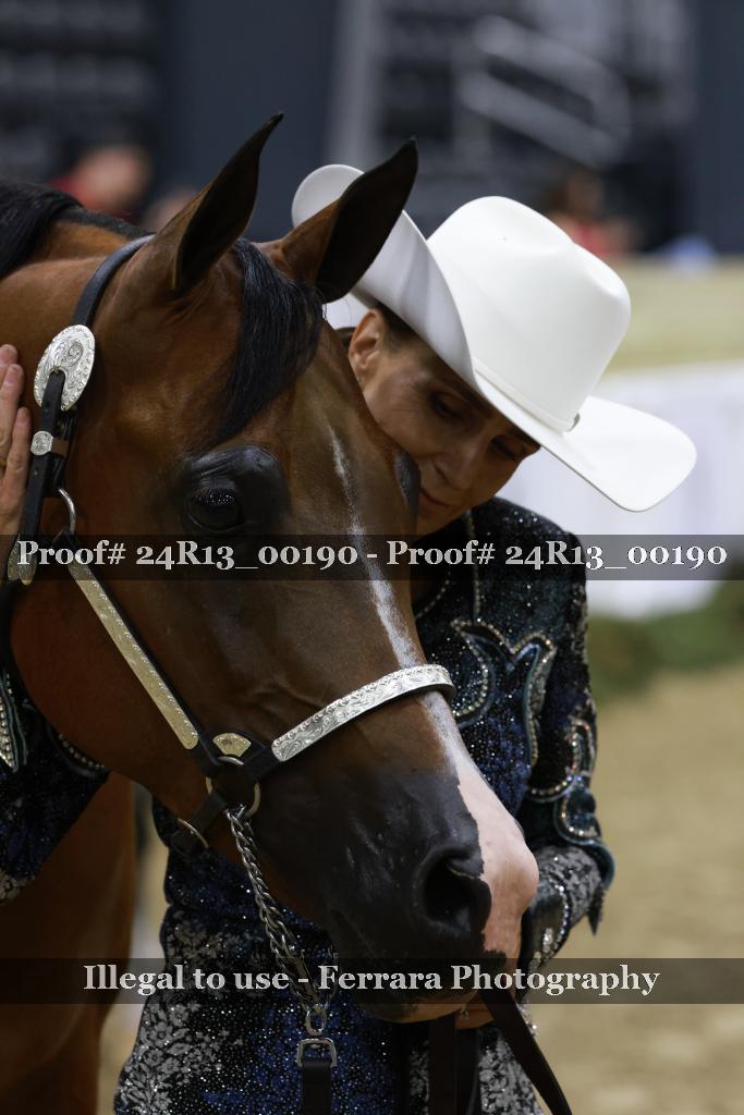 Proof 24R13_00190