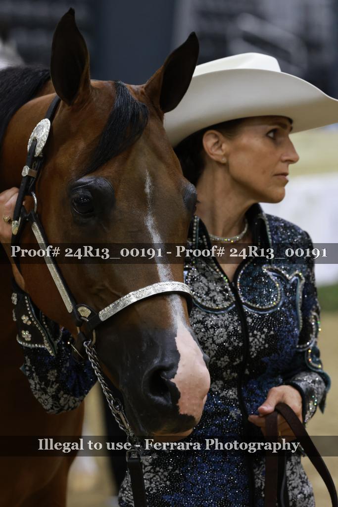 Proof 24R13_00191