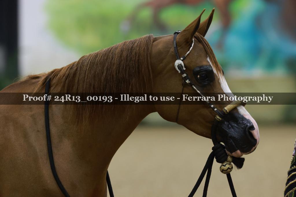 Proof 24R13_00193